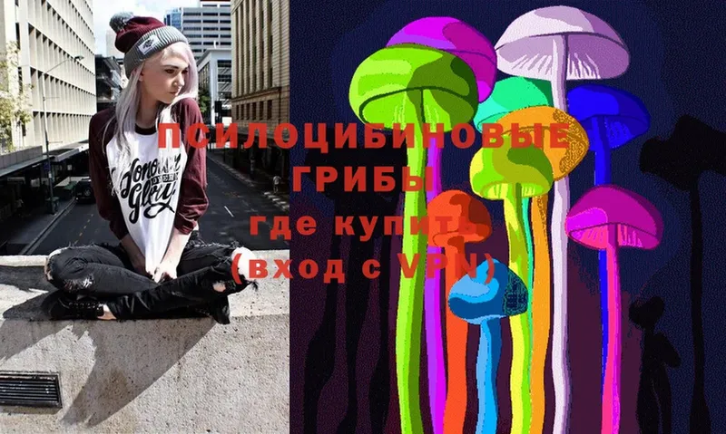 Галлюциногенные грибы Psilocybe  Отрадная 